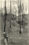 13340 Gezicht op een pad met boomstammetjes in het bos op de Grebbeberg te Grebbe (gemeente Rhenen).